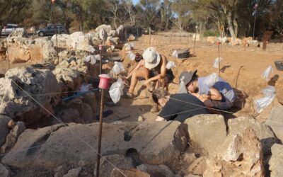 Les excavacions als Closos de Can Gaià, 2024