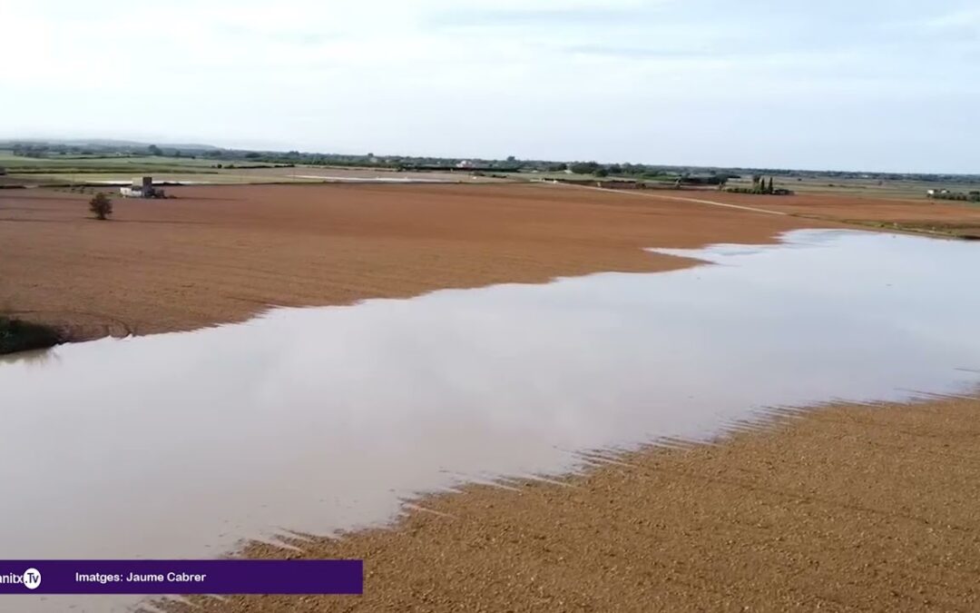 La barrumbada d’aquesta matinada. 28 octubre 2024